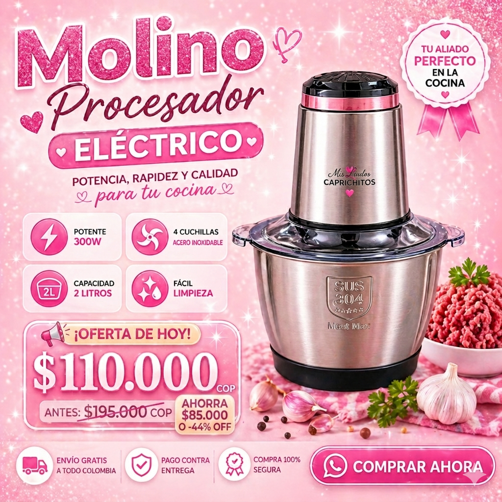 Molino Picador Electrico 2 Litros